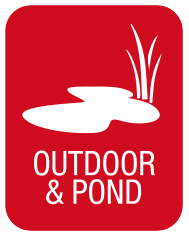 OUTDOOR & POND